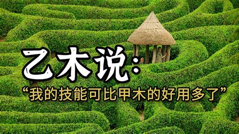 甲木 乙木 怎麼看|天干中属木的是哪几个？甲木乙木是怎么判断的？